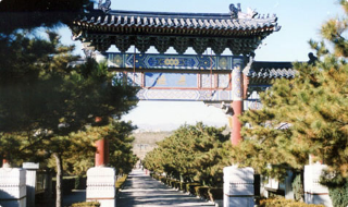 客户自选墓地